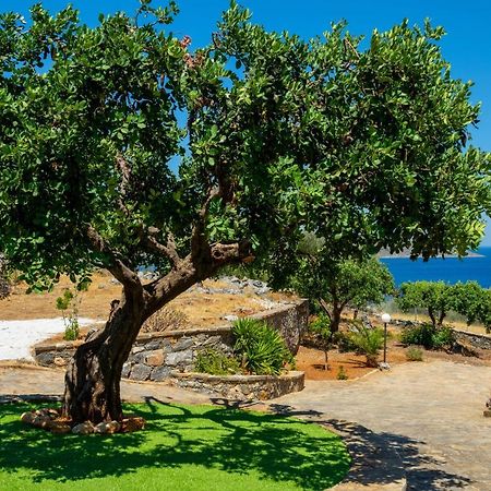 Elounda Anemelia Apartments 외부 사진