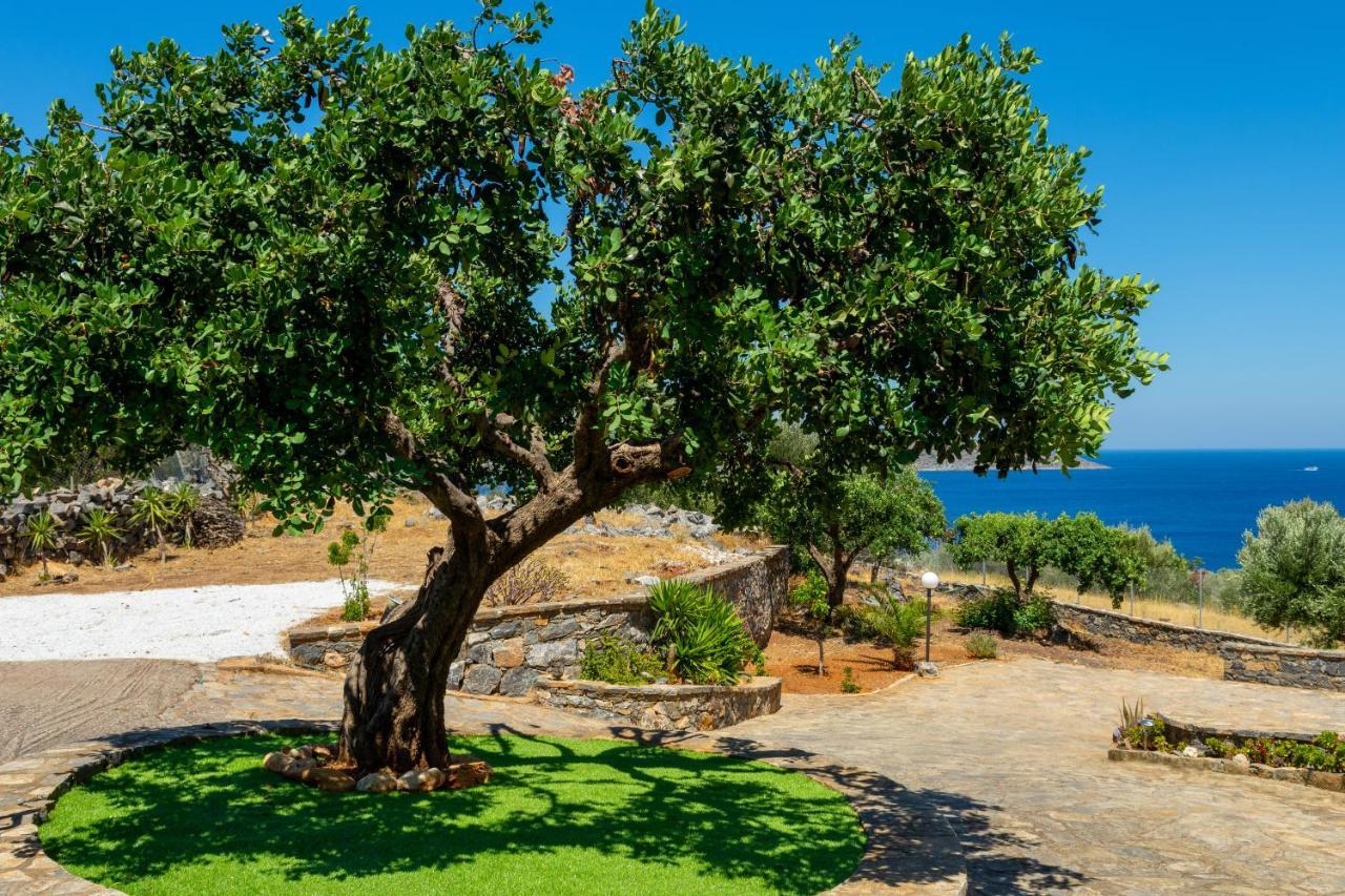 Elounda Anemelia Apartments 외부 사진